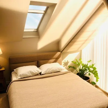 公寓 Loftovy Apartman Uplne Centrum *